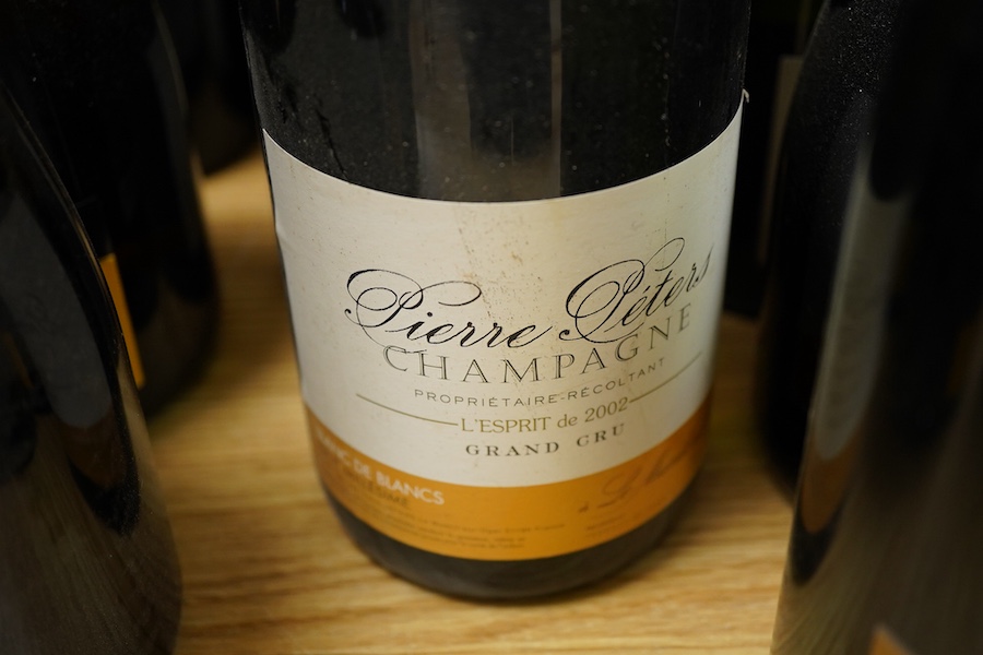 Mixed champagne and sparkling wine to include Charles LePrince champagne, 2002, Pol Roger Brut, 1990, Pierre Peters champagne Grand Cru, 2002, Alexandre Bonnet Grand Reserve Brut champagne, 3 bottles of Valdo Prosecco, t